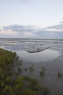 Saltmarsh and tidal mudflats of The Wash viewed on a full moon just prior to sunrise