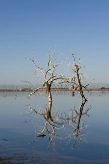 Salton Sea California USA April