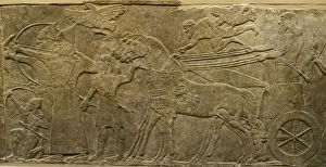 A scultured relief from the walls of the North West Palace in Nimrud the Assyrian A scultured relief from the walls of the North West Palace in Nimrud the Assyrian
