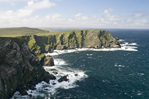 Shetland Prints: Sea cliffs at Hermaness NNR on Unst Shetland June