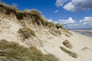 Minsmere Prints: sea erosion Minsmere May 2005