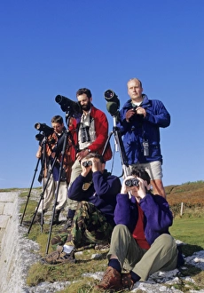 Birding Prints: Seawatching on The Garrison St Marys Isles of Scilly