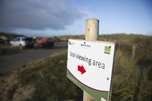 Sign pointing to Grey Seal colony at Winterton Norfolk December Sign pointing to Grey Seal colony at Winterton Norfolk December