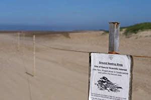 Sign on roped off area warning visitors to stay clear of nesting area on beach at Sign on roped off area warning visitors to stay clear of nesting area on beach at