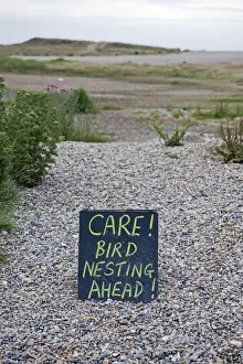 Sign warning people to take care due to nesting Avocet along path Salthouse Norfolk July