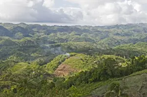 Slash and burn forest clearance in Alcoy Forest Cebu Philippines