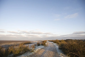 Snettisham Prints: Snettisham RSPB Reserve Norfolk in winter