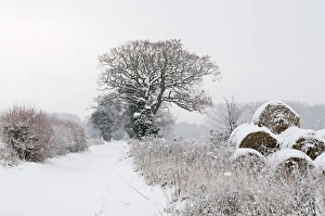 Snow covered lane and hay bales Postwick Norfolk December