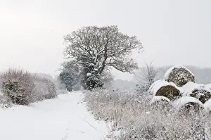 Snow covered lane and hay bales Postwick Norfolk December