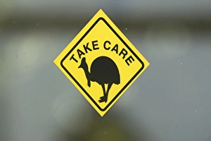 Sticker warning of Southern Cassowarys Casuarius casaurius Cairns Queensland Sticker warning of Southern Cassowarys Casuarius casaurius Cairns Queensland