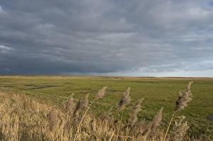 Stormy sky over grazing marsh viewed from the East Bank at Cley Norfolk winter Stormy sky over grazing marsh viewed from the East Bank at Cley Norfolk winter