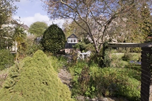 Suburban garden in spring Kent