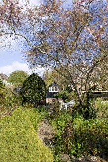 Suburban garden in spring Kent