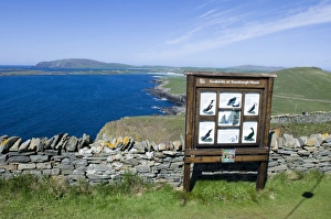 Rspb Reserve Prints: Sumburgh Head RSPB Reserve Shetland summer