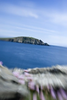 Sumburgh Head RSPB Reserve viewed from Scatness Shetland June Sumburgh Head RSPB Reserve viewed from Scatness Shetland June