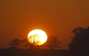 Silhouetted Prints: Sunrise over fields at Docking Norfolk spring