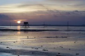 Waders Prints: sunrise over mudflats at Lindisfarne NNR Northumberland winter