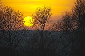 Trees Prints: Sunset over meadows at Burnham Norton Norfolk winter