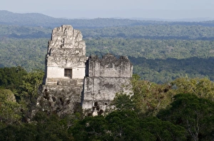 Temples rising above the rainforest at Tikal viewed from Temple 1V Guatemala