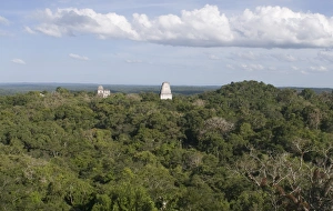 Temples rising above the rainforest at Tikal viewed from Temple 1V Guatemala Temples rising above the rainforest at Tikal viewed from Temple 1V Guatemala