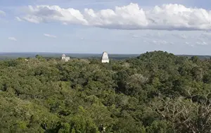 Rainforest Prints: Temples rising above the rainforest at Tikal viewed from Temple 1V Guatemala