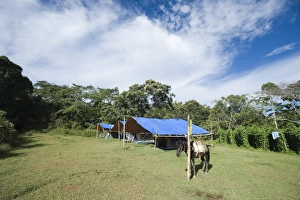 Camp at Mt Kitanglad Mindanao Philippines