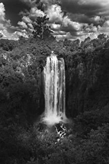 Black And White Prints: Thomson Falls Nr Nakuru Kenya