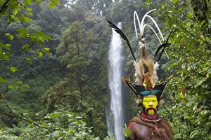 Timan Thumbu Huli Wigman from Tari Southern Highlands Papua New Guinea. Feathers Timan Thumbu Huli Wigman from Tari Southern Highlands Papua New Guinea. Feathers