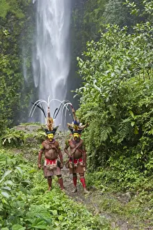 Papua New Guinea Prints: Timan Tumbo and Hale Johu Huli Wigmen adorned in bird of paradise plumes Tari Valley