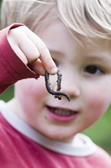 Toddler holding earthworm in garden Norfolk spring