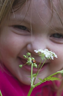 Insect Prints: Toddler looking at Ladybird in garden Norfolk April