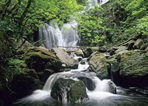 Torc Waterfall Killarney Co Kerry Ireland spring