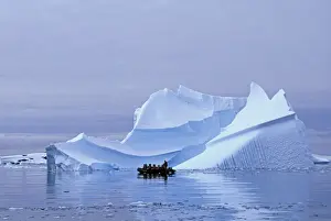 Tourist Prints: Tourists on Zodiac cruise around icebergs on the Antarctic Peninsula, Antarctica, January