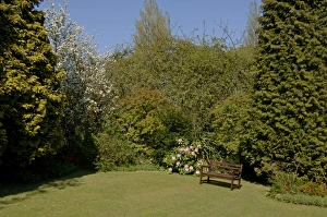 Urban Prints: Urban garden in spring Kent, UK