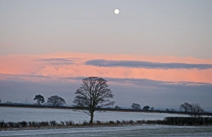 View across arable farmland near Gretna Dumfries Scotland at dusk december View across arable farmland near Gretna Dumfries Scotland at dusk december