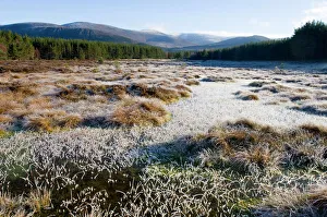 View of Cairngorm Mountains from Uath Lochans on frosty morning in winter Cairngorm View of Cairngorm Mountains from Uath Lochans on frosty morning in winter Cairngorm