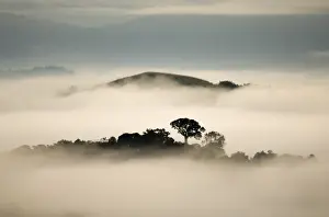 Rainforest Prints: View from Canopy Tower Lodge across lowland rainforest of Soberania NP
