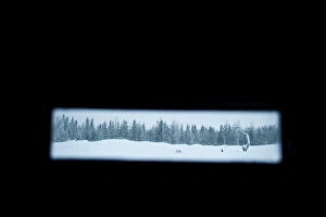 Hide Prints: View from eagle photo hide in central Finland winter