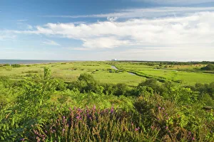 View across Minsmere RSPB Reserve from Dunwich Suffolk July