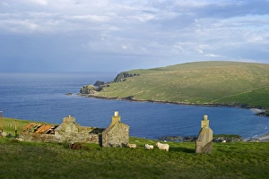 View across towards Norwick and abandoned Crofts from the Garths Unst Shetland June View across towards Norwick and abandoned Crofts from the Garths Unst Shetland June