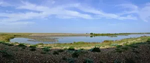 Panoramic Prints: View of wader high tide roost on gravel pits at Snettisham RSPB reserve on the Wash