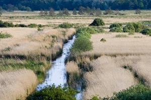 View from Whin Hill Minsmere May