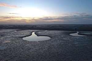 Tidal Prints: The Wash Snettisham Norfolk at low tide winter