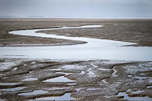 Rspb Reserve Prints: The Wash at Snettisham RSPB Reserve at low tide Norfolk late summer