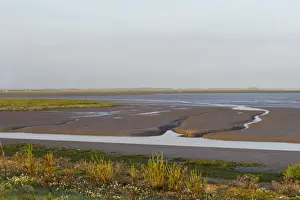 The Wash at Snettisham RSPB Reserve at low tide Norfolk late summer