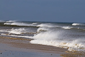 Coast Prints: Waves on a windy day at Blakeney Point Norfolk winter