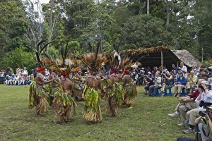 Western Highland Sing-sing group performing for tourists at Paiya Show in Western Western Highland Sing-sing group performing for tourists at Paiya Show in Western