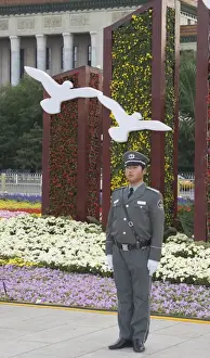 White Doves used in flower display as part of 2008 Beijing Olympics in Tianeman Square