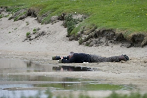 Wildlife photographer Chris Gomersall photographing Great Skuas on Fetlar Shetland June Wildlife photographer Chris Gomersall photographing Great Skuas on Fetlar Shetland June