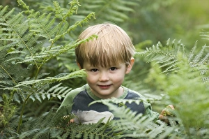 Male Prints: Young boy (3) peering through bracken in summer Norfolk UK